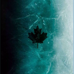 Lachmal-_-'s Avatar'