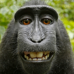 Vert.Huggies's Avatar'