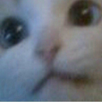 BUTIRATlNO's Avatar'