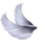 Splashserg's Avatar'