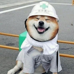 ZUENDAPPCS013's Avatar'