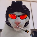 SilverPlayer_BR's Avatar'