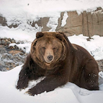 RushBGang_'s Avatar'