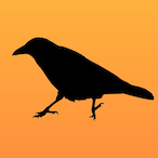 octaafderaaf's Avatar'