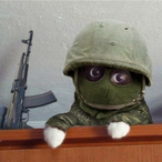 Warr_cat's Avatar'