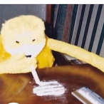 Lil.Riceboy's Avatar'