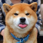 Shoop-Doggy's Avatar'