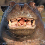 Pete-Weber's Avatar'