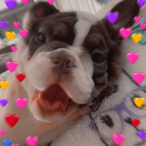 xLadyLilac's Avatar'
