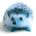 SonicSpeed's Avatar'
