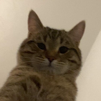 Alexandra-'s Avatar'