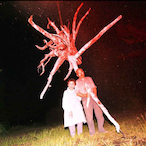 Z1onks's Avatar'