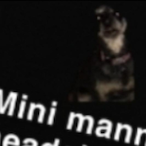 Saschlocool's Avatar'