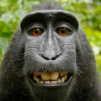 P1GCL0WN's Avatar'