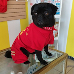 dantini_96's Avatar'