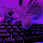 RacistPotato569's Avatar'