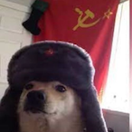 Gyula12355's Avatar'