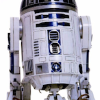 NoIan Jewish's Avatar'