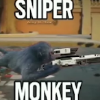 Sniper__Monke's Avatar'