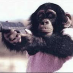chimp.chimp's Avatar'