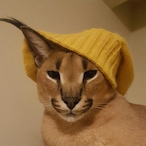 FrancescoLJK's Avatar'