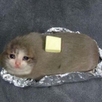 RAWDOGBETTY's Avatar'