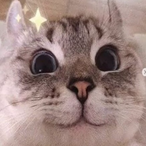 cals.mistake's Avatar'