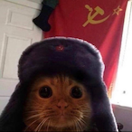 GermanFurry's Avatar'