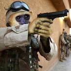 PraRaK_Monkey's Avatar'