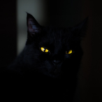 Natuthrj 22's Avatar'