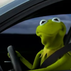 TBG_Kermit's Avatar'