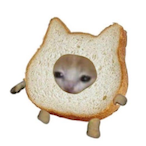 SaltyMarble's Avatar'
