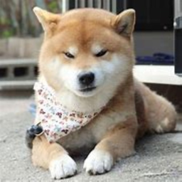 ShibaInu.WRLD