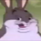 OGSharkBait's Avatar'