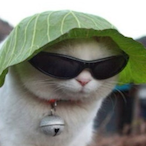 samden01's Avatar'