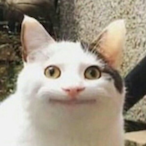 cdrcdr87's Avatar'