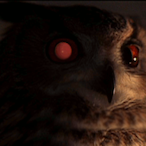 Scarjowitch's Avatar'