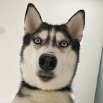 Greenfeet5692's Avatar'