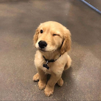 LWS_MoZZie-_-'s Avatar'