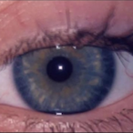 IIIHARUNII's Avatar'