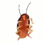local.Roach's Avatar'