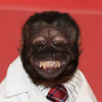 DIZZY_DAVE_'s Avatar'