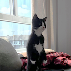 Jamantha1917's Avatar'