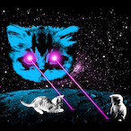 SirDrooski's Avatar'