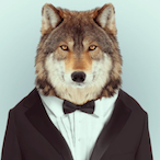 XyWolFs's Avatar'