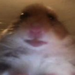 FratellMij's Avatar'