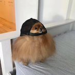 Papayonn's Avatar'