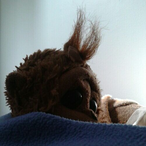 Countessa_Jay's Avatar