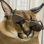 bhdnotreal's Avatar'