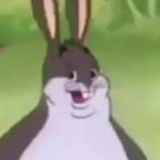 AutisticFly6317's Avatar'